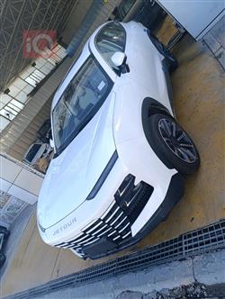 جیتۆر داشينگ